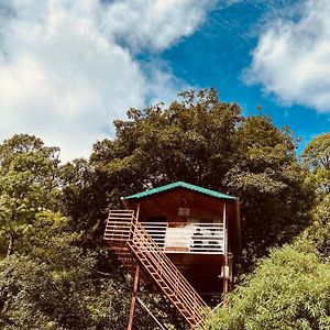 The Cocoon Camps & Nature Resorts